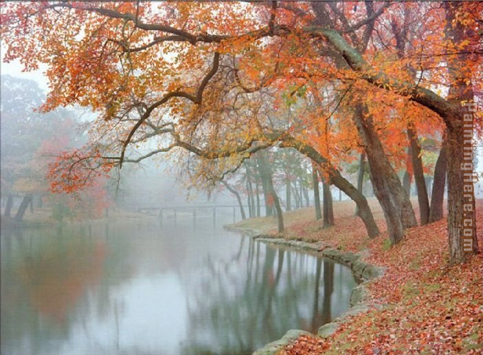 Mike Jones Autumn Reflections painting - Unknown Artist Mike Jones Autumn Reflections art painting